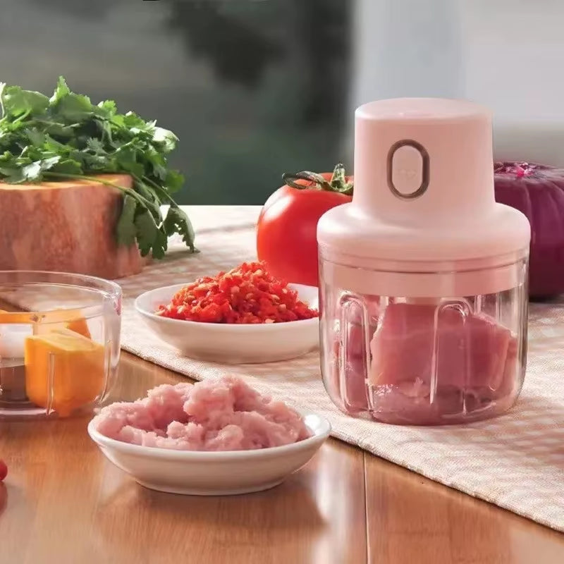 Mini Electric Food Chopper – Garlic, Ginger, Vegetables & Baby Food Processor