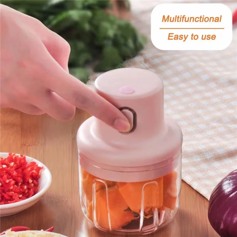 Mini Electric Food Chopper – Garlic, Ginger, Vegetables & Baby Food Processor